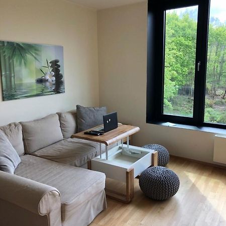 Triplex Residence, Lux-Appartment In The Central Part Karlovy Vary Exterior foto
